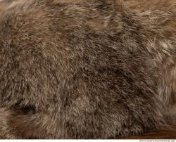 Fur